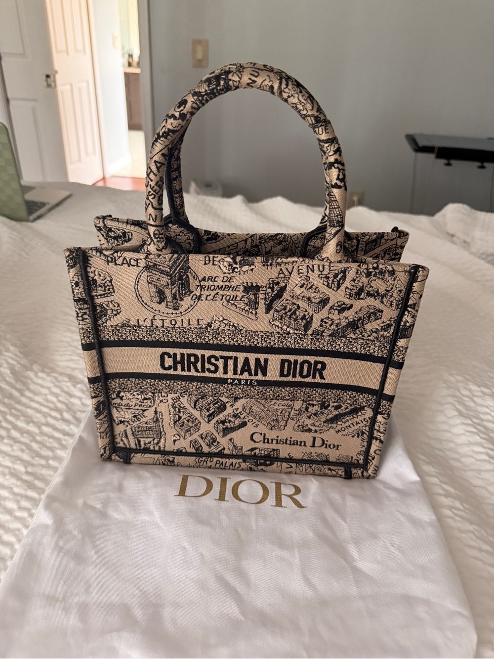 Dior Beige & Black Toile de Jouy small Book Tote.